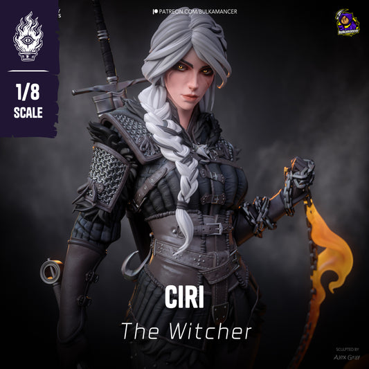 Ciri Stylized - The Witcher 4