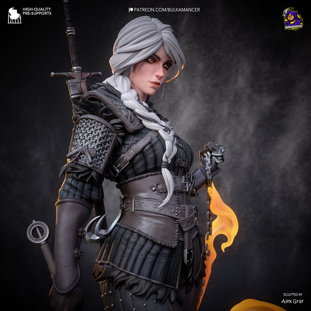 Ciri Stylized - The Witcher 4