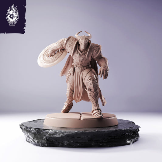 Knight Disk - Knights Of Bahamut