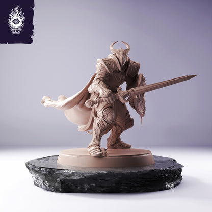 Knight Shield - Knights Of Bahamut