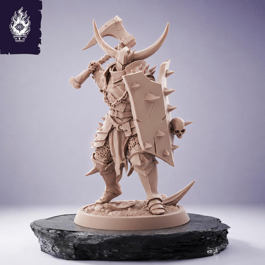 Light Axe and Shield Soldier - Unchained