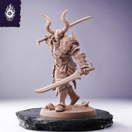 Light Dual Sword Soldier - Unchained