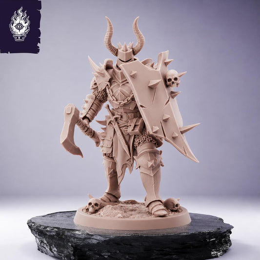 Light Axe and Shield Soldier - Unchained