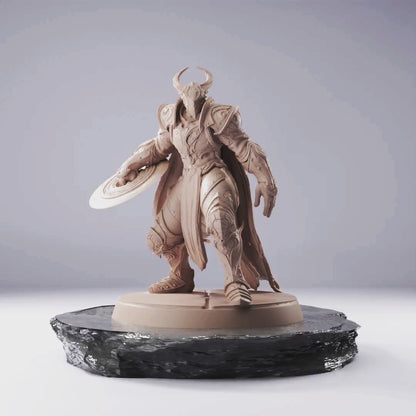 Knight Disk - Knights Of Bahamut