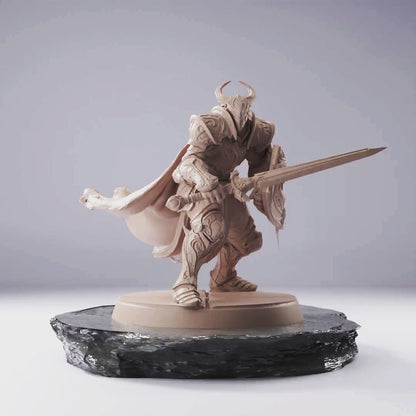 Knight Shield - Knights Of Bahamut