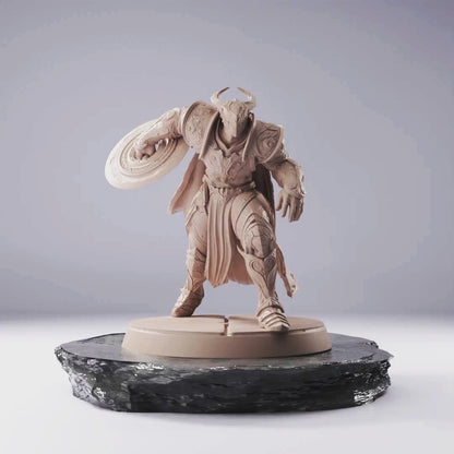 Knight Disk - Knights Of Bahamut